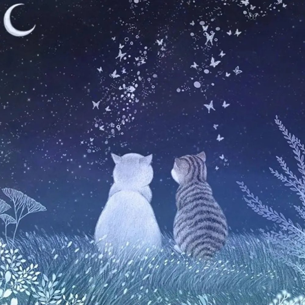 Meet your Posher, Bella